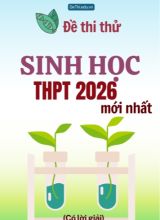 Bộ đề thi thử môn Sinh học THPT 2026 mới nhất (Có lời giải)